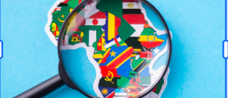 The Africa Collection